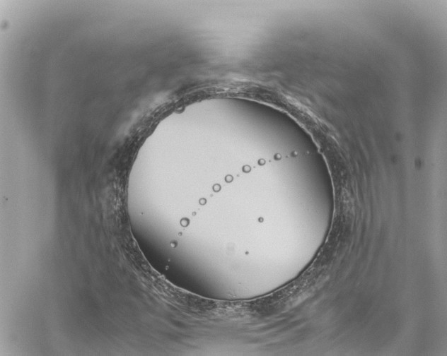 X0000060251447200510311536