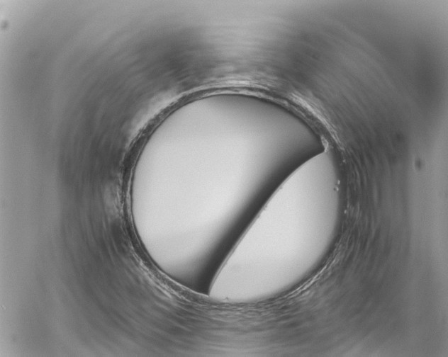 X0000060251452200510311535