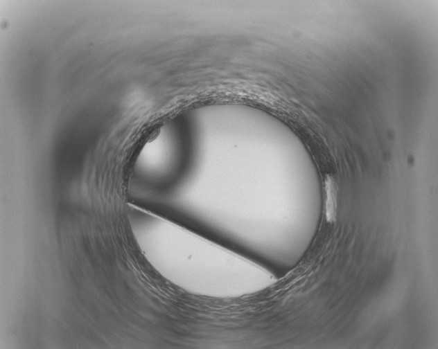 X0000060251491200510311534