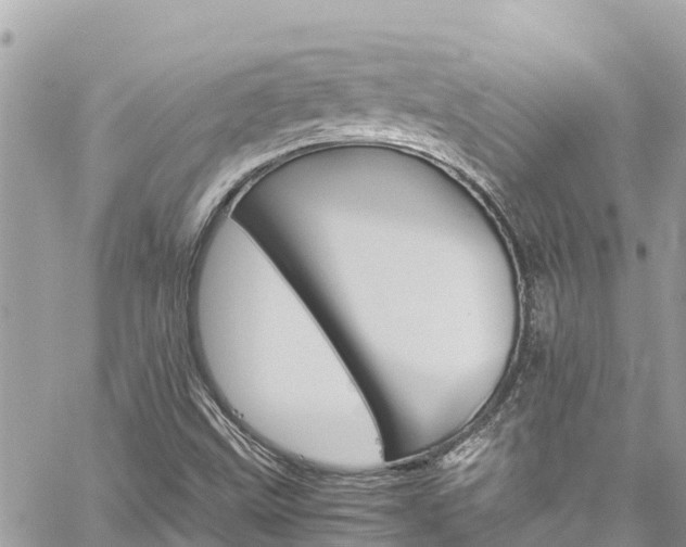 X0000060251499200510311534