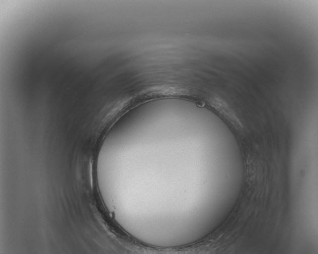 X0000060250014200511041335