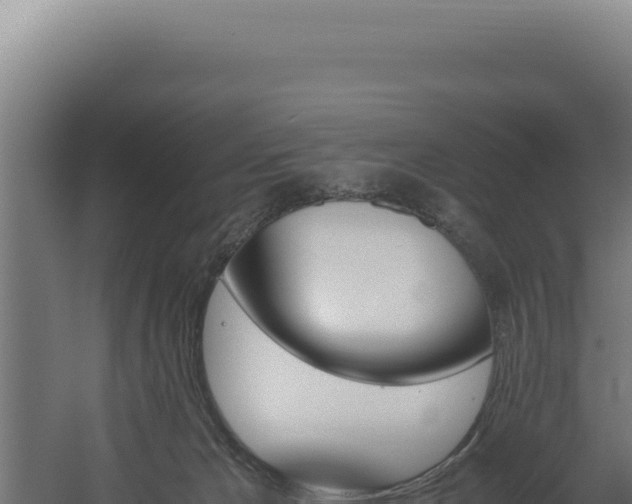 X0000060250029200511041335