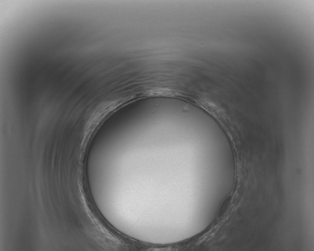 X0000060250049200511041334