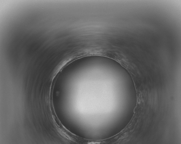 X0000060250052200511041334