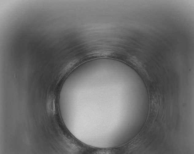 X0000060250110200511041333