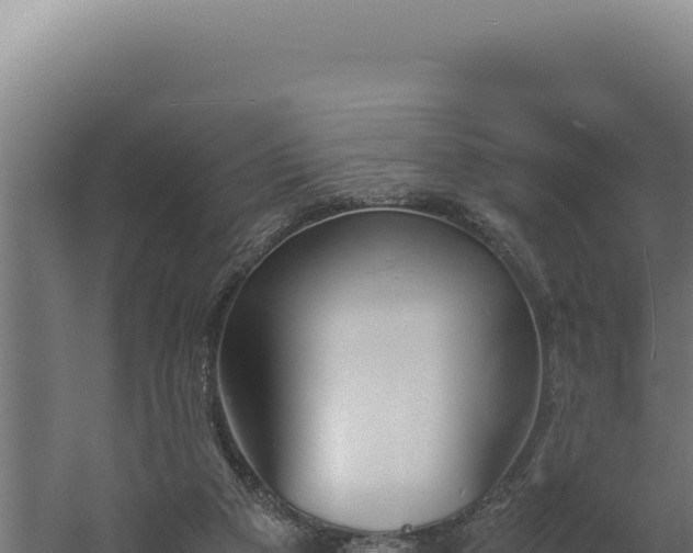 X0000060250113200511041333