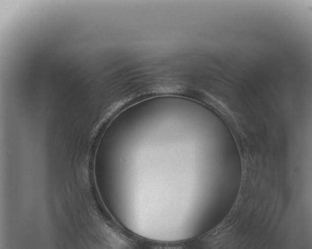 X0000060250155200511041332