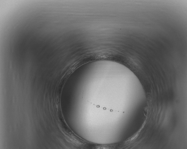 X0000060250174200511041332