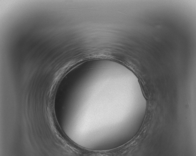 X0000060250193200511041332