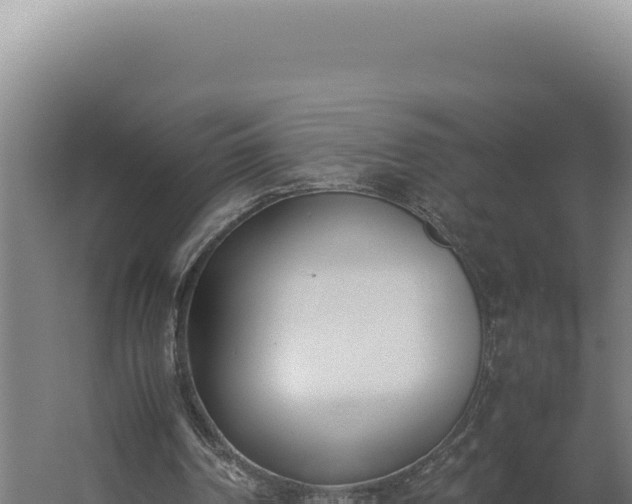 X0000060250194200511041332