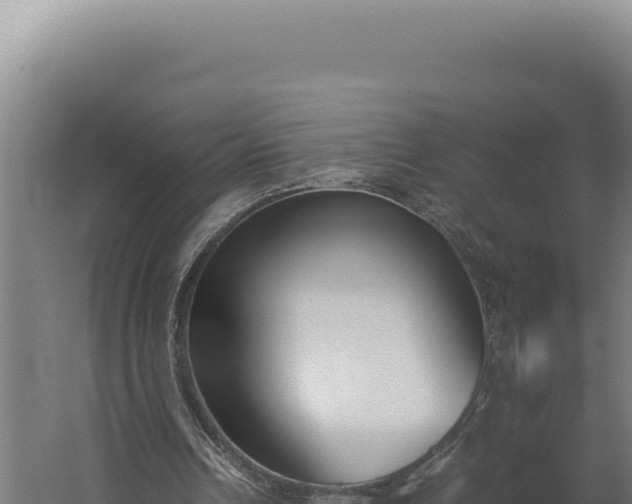 X0000060250242200511041330