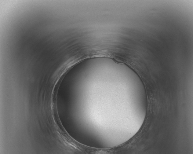 X0000060250290200511041330