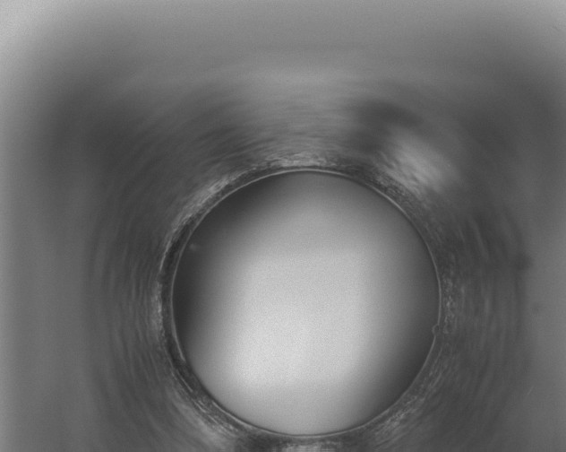 X0000060250298200511041330