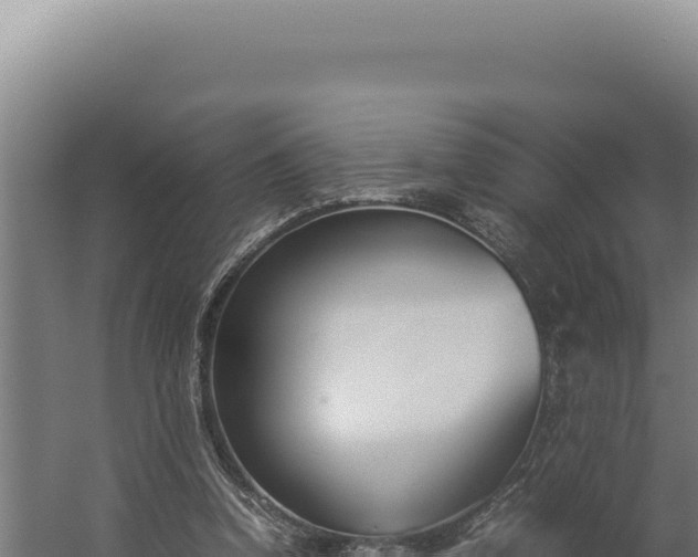 X0000060250346200511041329