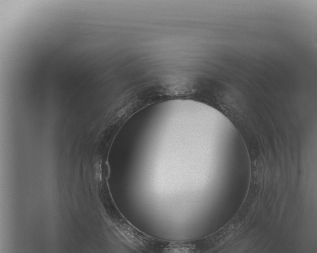 X0000060250368200511041329