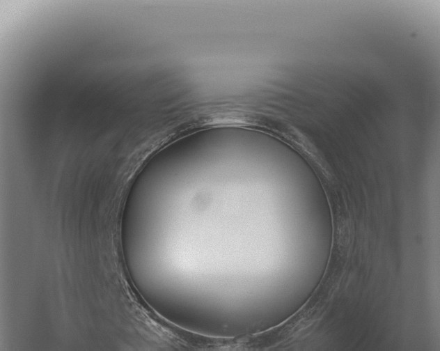 X0000060250385200511041329