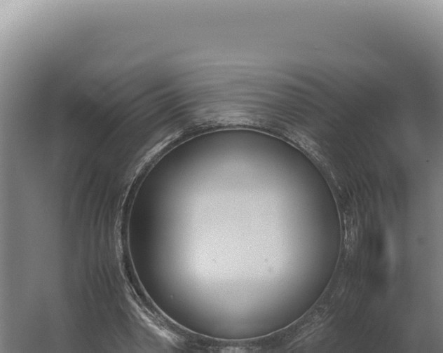 X0000060250390200511041329