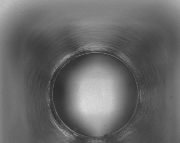 X0000060250438200511041327