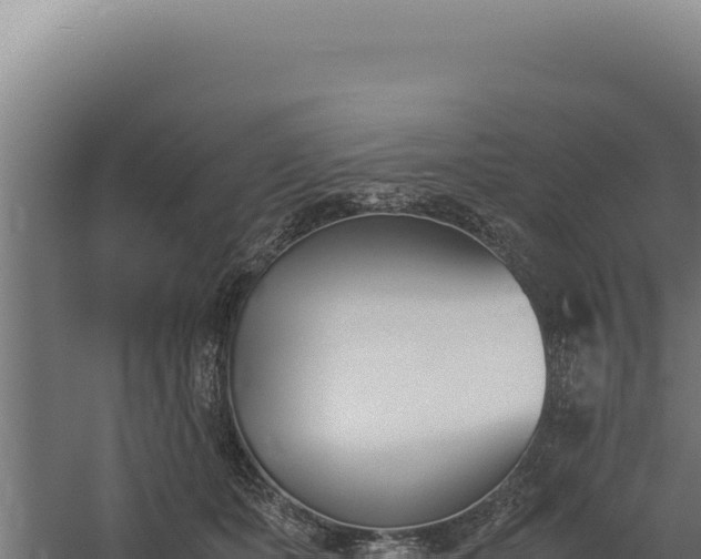 X0000060250511200511041327