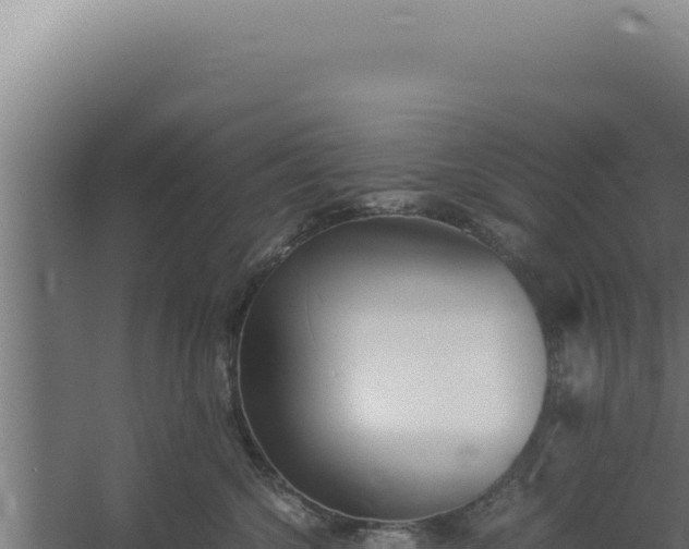 X0000060250572200511041326