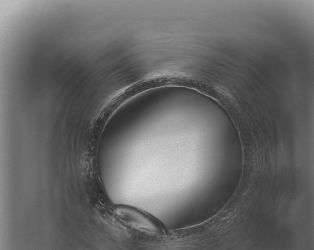 X0000060250872200511041320