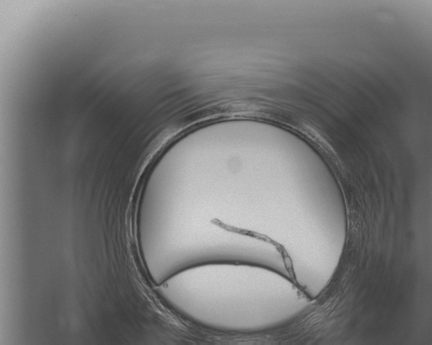 X0000060250891200511041320