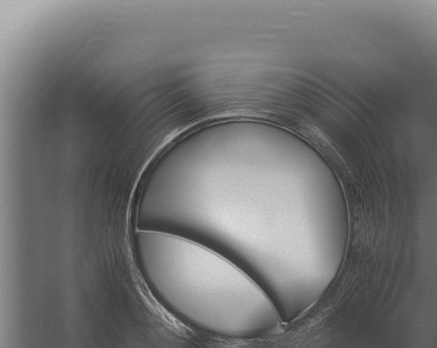 X0000060250892200511041320