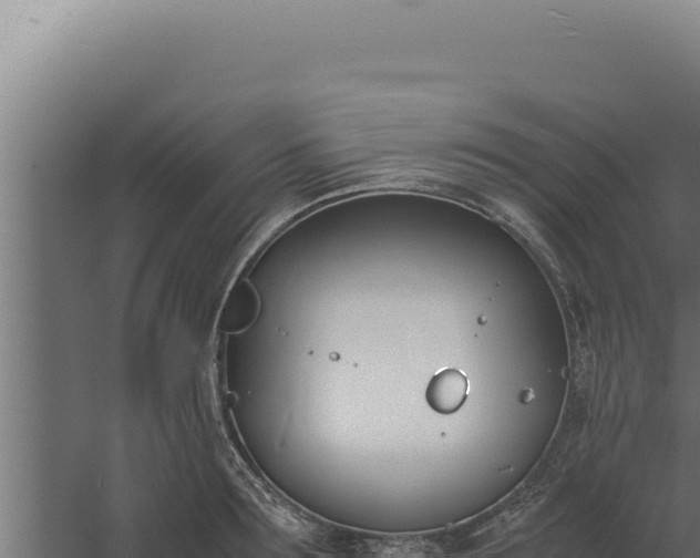 X0000060250899200511041320