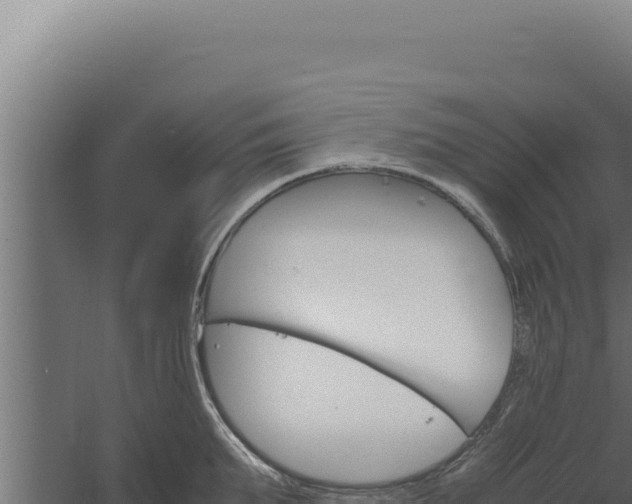 X0000060250903200511041320