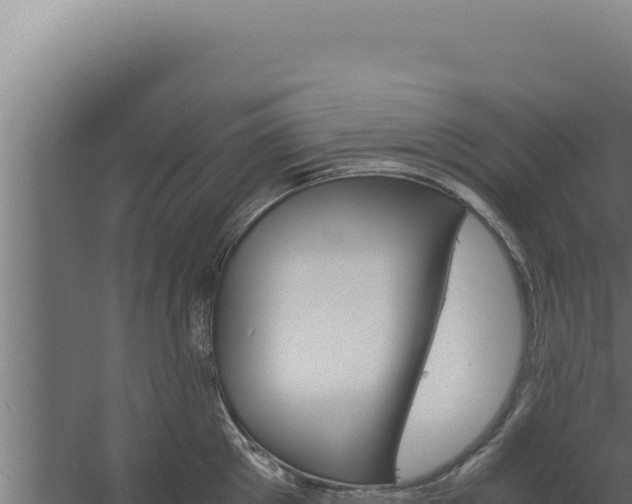 X0000060250905200511041320