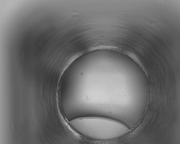 X0000060250906200511041320