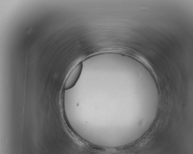 X0000060250907200511041320