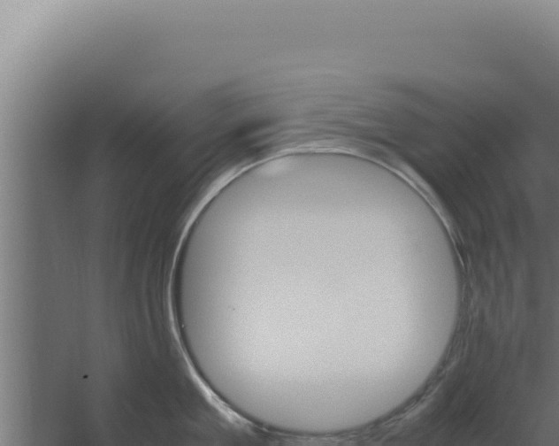 X0000060250909200511041320