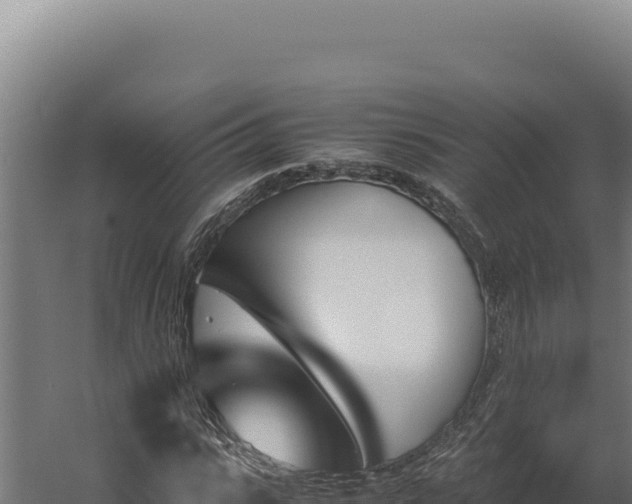 X0000060250919200511041319