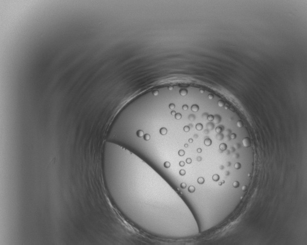 X0000060250953200511041320