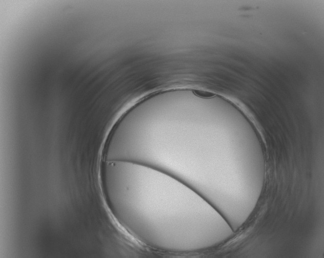 X0000060250957200511041320