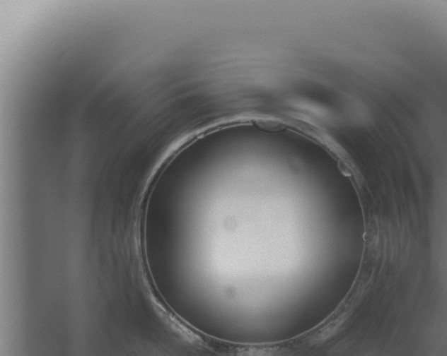 X0000060250958200511041320