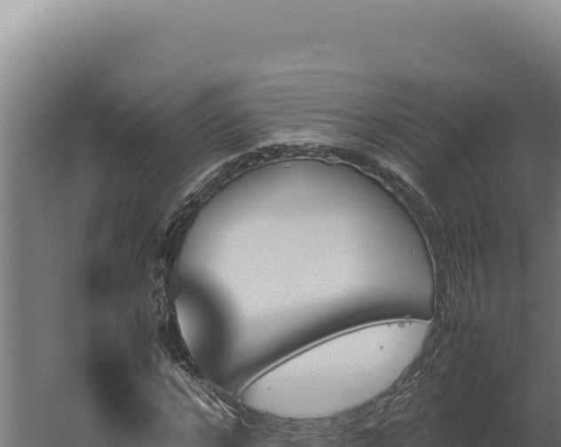 X0000060250968200511041319