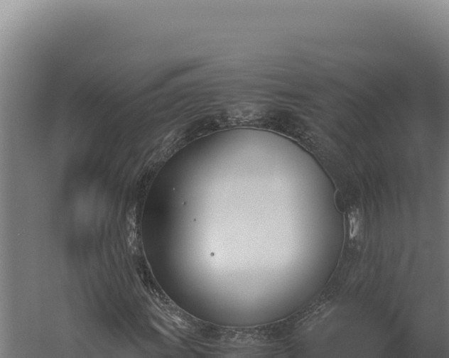 X0000060251011200511041317