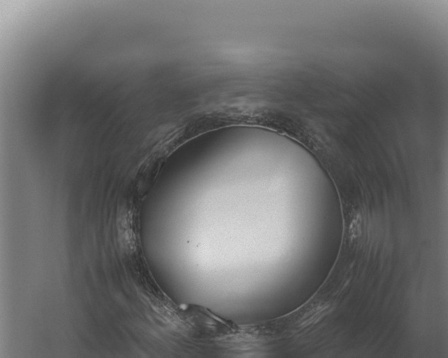 X0000060251156200511041316