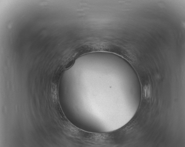X0000060251251200511041314