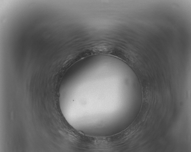 X0000060251297200511041312