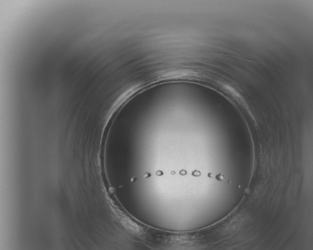 X0000060251330200511041313