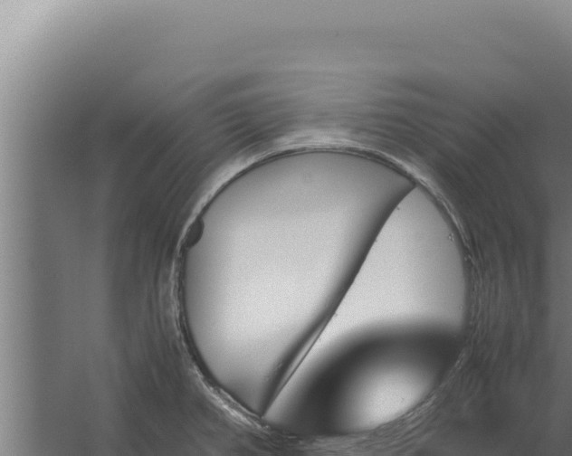 X0000060251382200511041312
