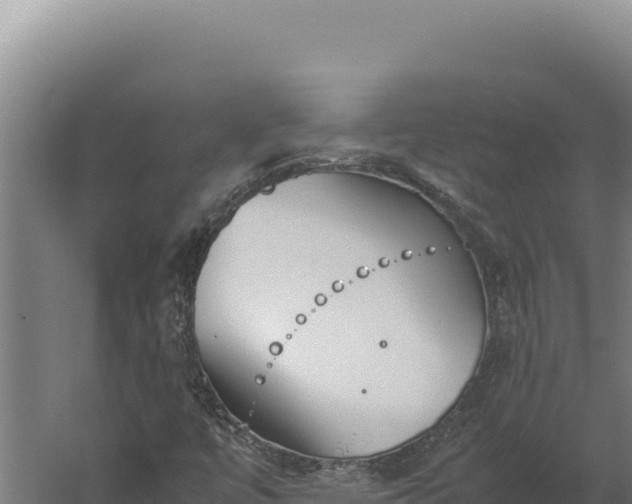 X0000060251447200511041311