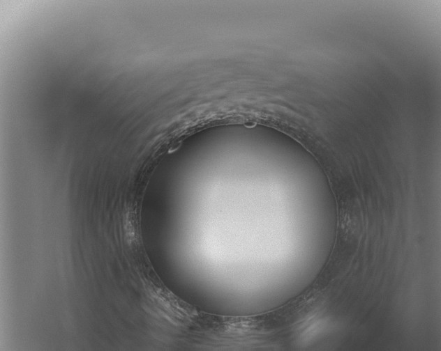 X0000060251490200511041309