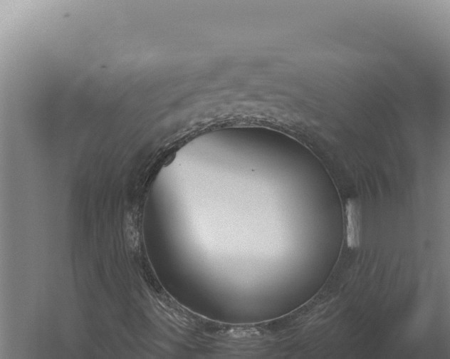 X0000060251491200511041309