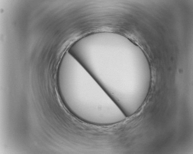 X0000060250001200511112007
