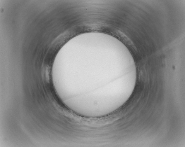 X0000060250026200511112007