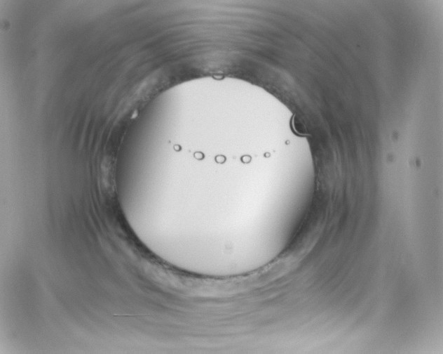 X0000060250044200511112006